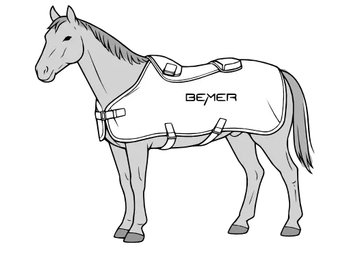 Equine BEMER Therapy