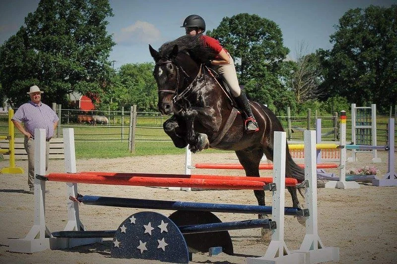 Clinics