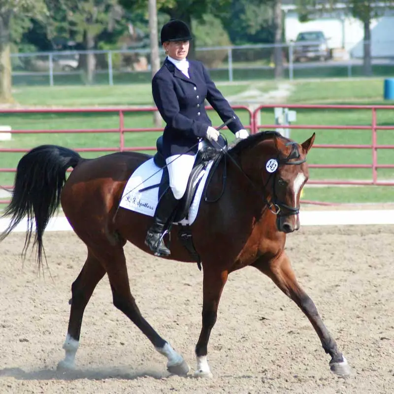 ./Pam Bauer showing in dressage